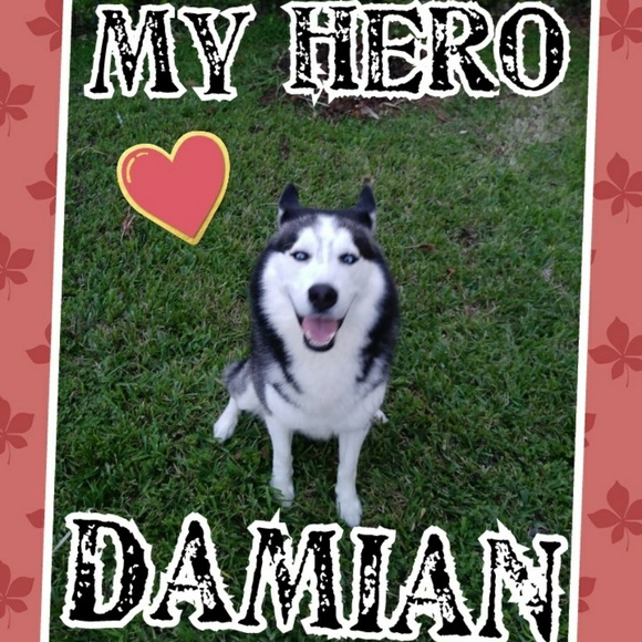 💕🐾Meet your Posher, Elizabeth🐾💕 - Picture 2 of 2